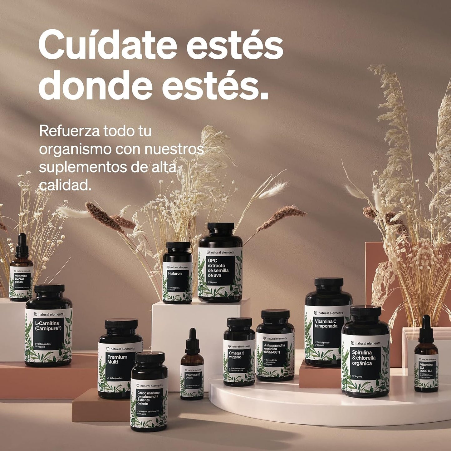 Elevate Your Wellness with Ferrochel™ Iron & Vitamin C - 180 Gentle, Gastro-Resistant Capsules for Optimal Absorption