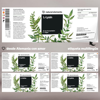 Premium L-Lysine Capsules - 1,000 mg Daily Dose - Vegan & Additive-Free - 365 Capsules Made in Germany